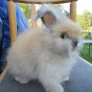 Meet your Posher, Genia